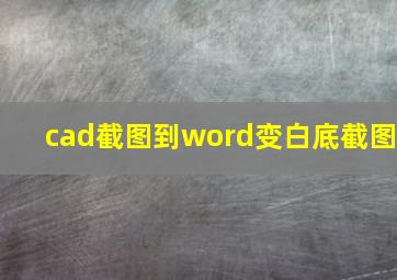 cad截图到word变白底截图