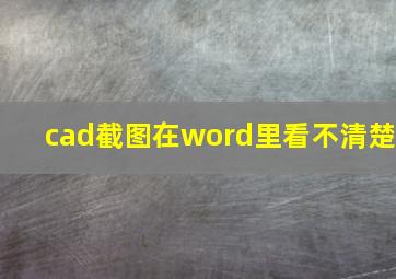 cad截图在word里看不清楚