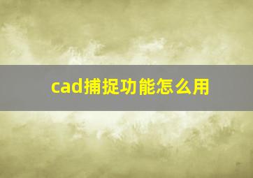 cad捕捉功能怎么用