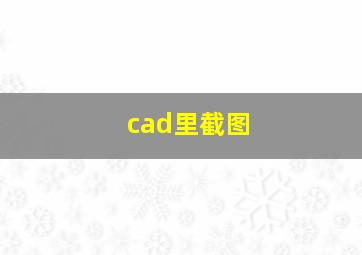 cad里截图