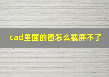 cad里面的图怎么截屏不了