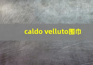 caldo velluto围巾