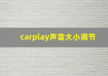 carplay声音大小调节