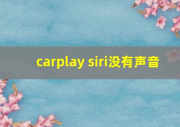 carplay siri没有声音