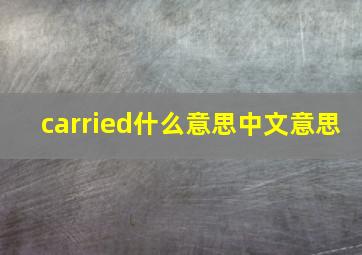 carried什么意思中文意思