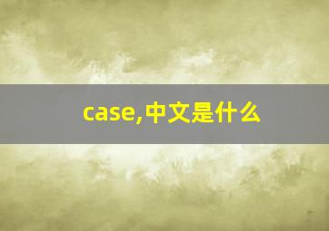 case,中文是什么