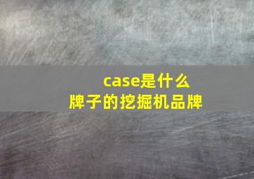 case是什么牌子的挖掘机品牌