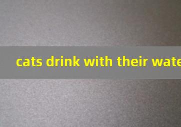 cats drink with their water翻译