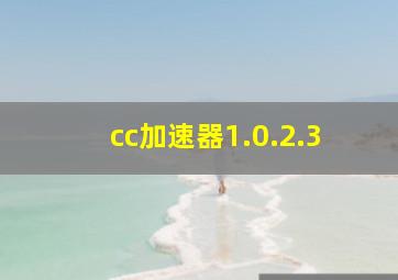 cc加速器1.0.2.3