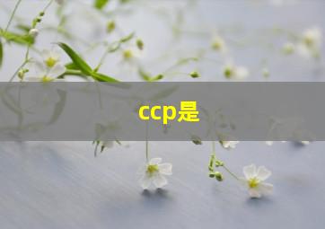 ccp是