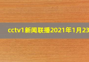 cctv1新闻联播2021年1月23日