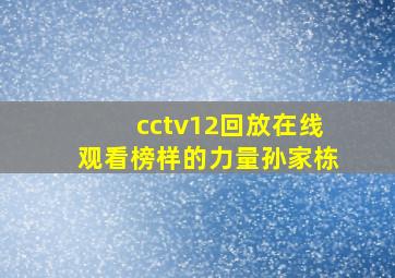 cctv12回放在线观看榜样的力量孙家栋