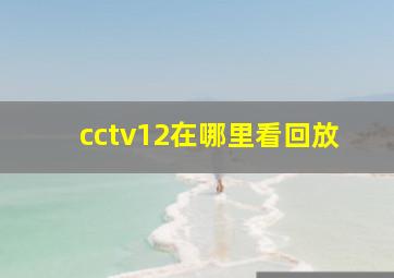 cctv12在哪里看回放