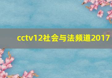 cctv12社会与法频道2017