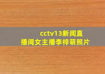 cctv13新闻直播间女主播李梓萌照片