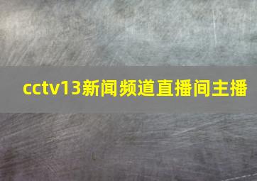 cctv13新闻频道直播间主播