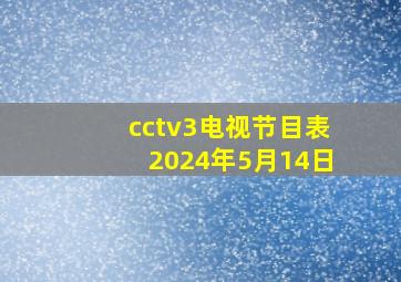 cctv3电视节目表2024年5月14日