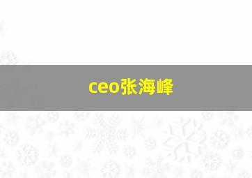 ceo张海峰