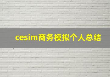 cesim商务模拟个人总结