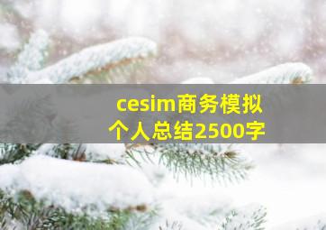 cesim商务模拟个人总结2500字