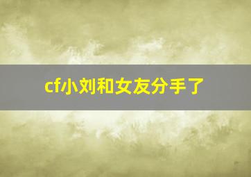 cf小刘和女友分手了