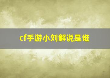 cf手游小刘解说是谁