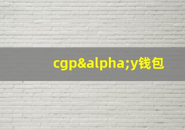 cgpαy钱包