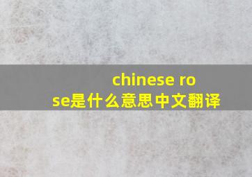 chinese rose是什么意思中文翻译