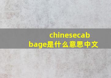 chinesecabbage是什么意思中文