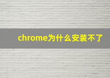 chrome为什么安装不了