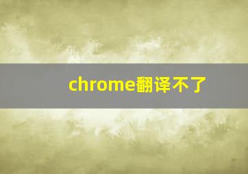 chrome翻译不了