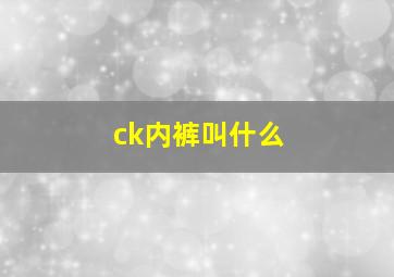 ck内裤叫什么