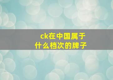 ck在中国属于什么档次的牌子