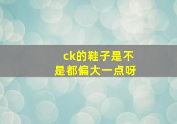 ck的鞋子是不是都偏大一点呀