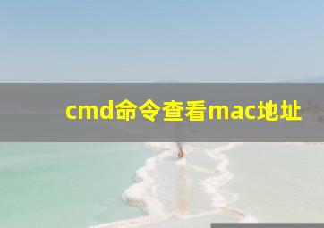 cmd命令查看mac地址