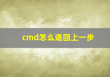 cmd怎么退回上一步