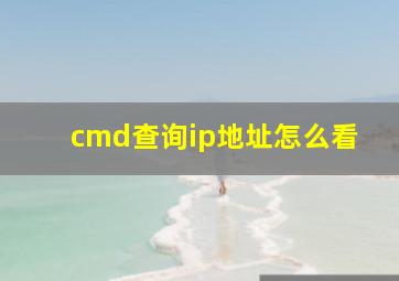 cmd查询ip地址怎么看