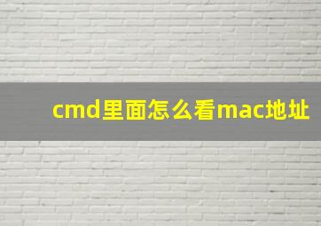 cmd里面怎么看mac地址