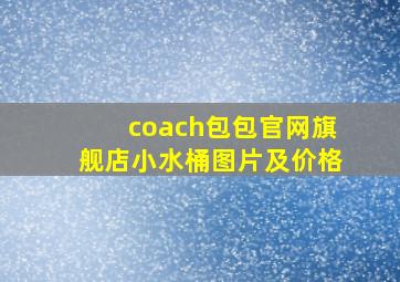 coach包包官网旗舰店小水桶图片及价格