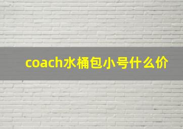 coach水桶包小号什么价