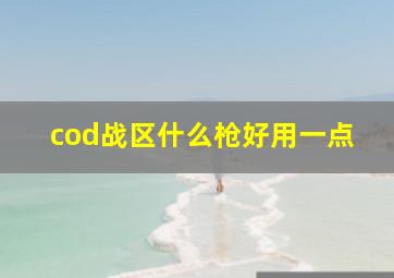 cod战区什么枪好用一点