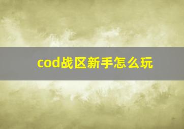 cod战区新手怎么玩