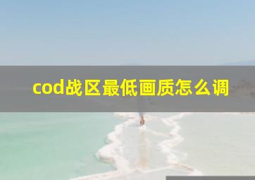 cod战区最低画质怎么调