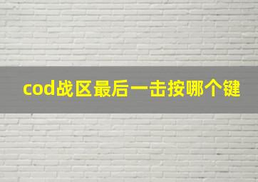 cod战区最后一击按哪个键