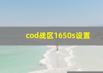 cod战区1650s设置