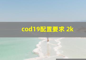 cod19配置要求 2k