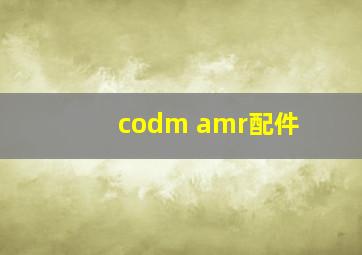 codm amr配件