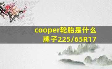 cooper轮胎是什么牌子225/65R17