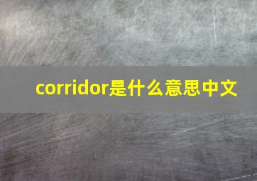 corridor是什么意思中文