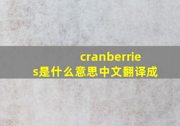 cranberries是什么意思中文翻译成